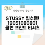 스투시 STUSSY 프린트 티셔츠 19051080801: 1가지 필수템