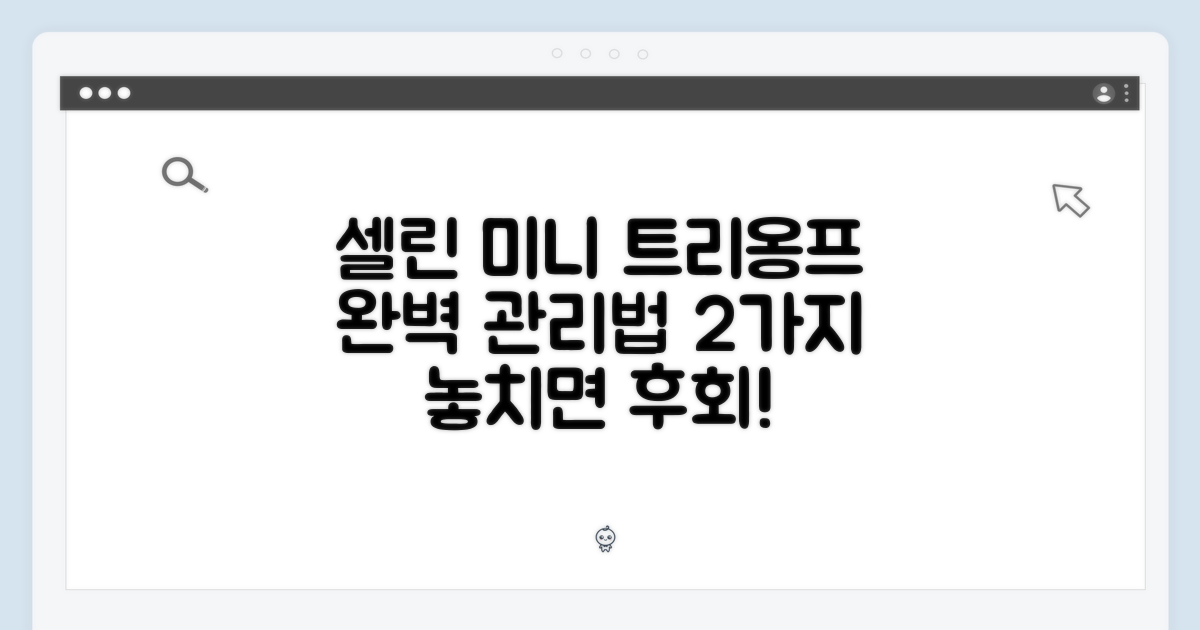 셀린 미니 트리옹프 숄더백 완벽 가이드: 2가지 관리법