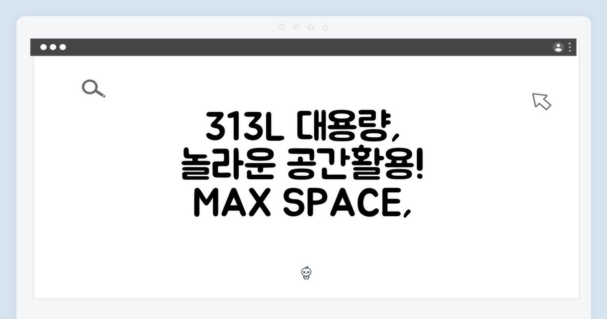 313L 대용량 활용