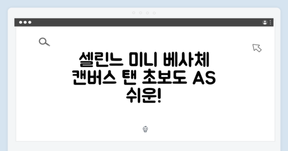 초보도 AS 쉬운 셀린느 미니 베사체 캔버스 탠
