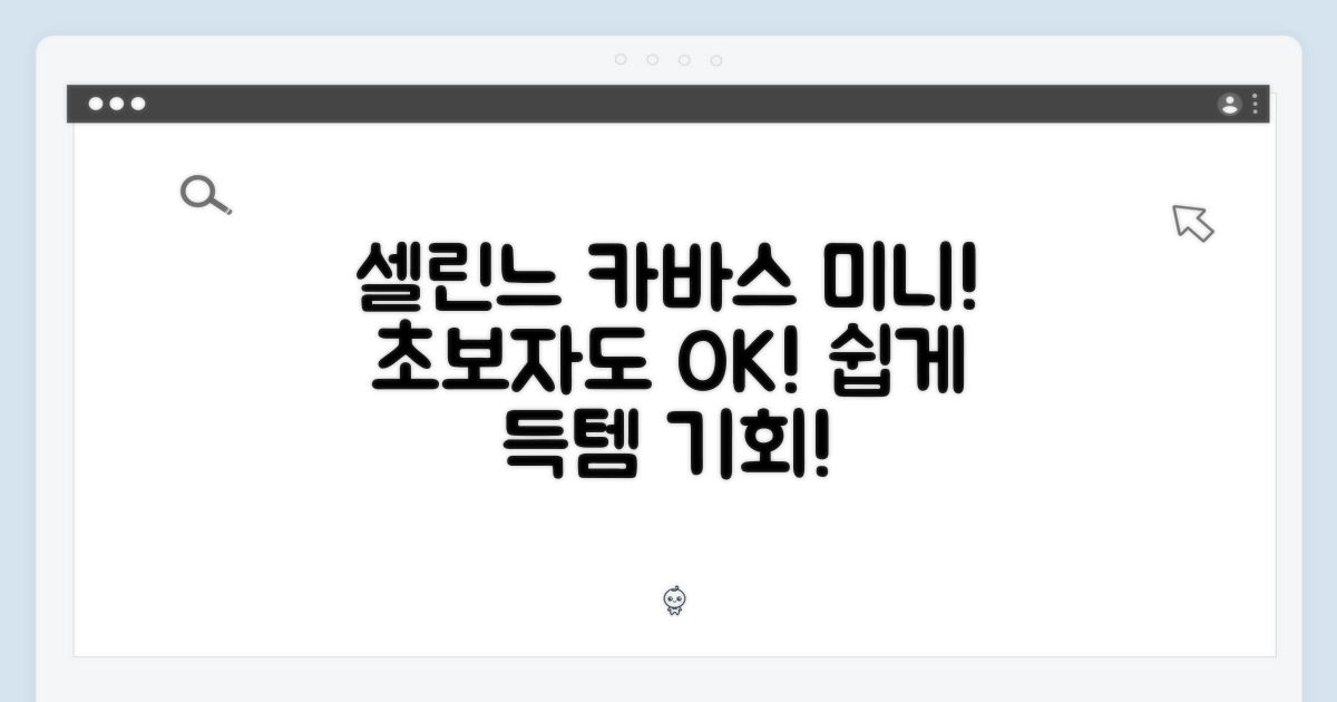 셀린느 카바스 백 미니, 초보자도 쉽게 겟!