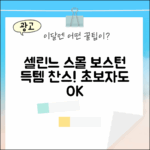 셀린느 스몰 보스턴, 초보자도 쉽게 득템!