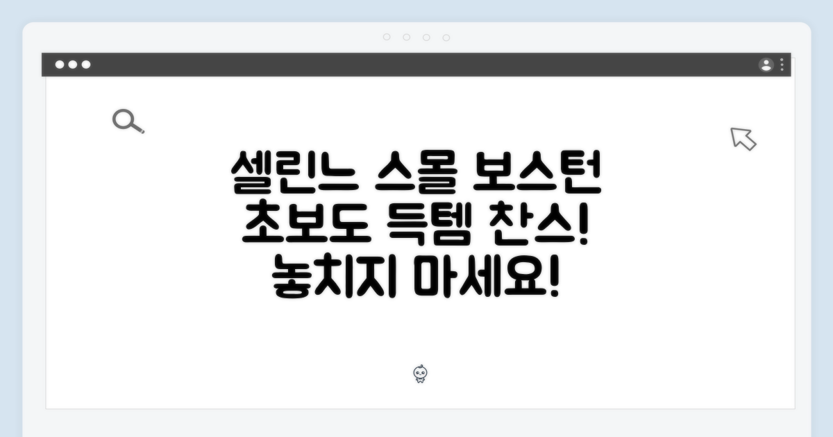 셀린느 스몰 보스턴, 초보자도 쉽게 득템!