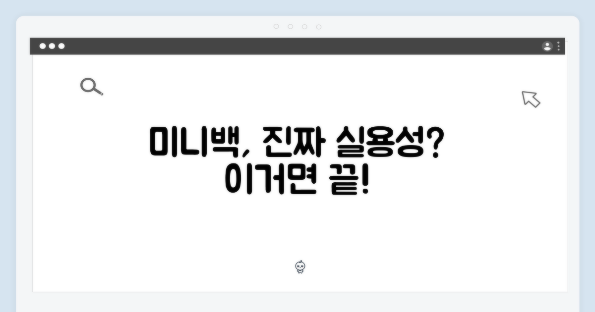 미니백의 실용성 분석