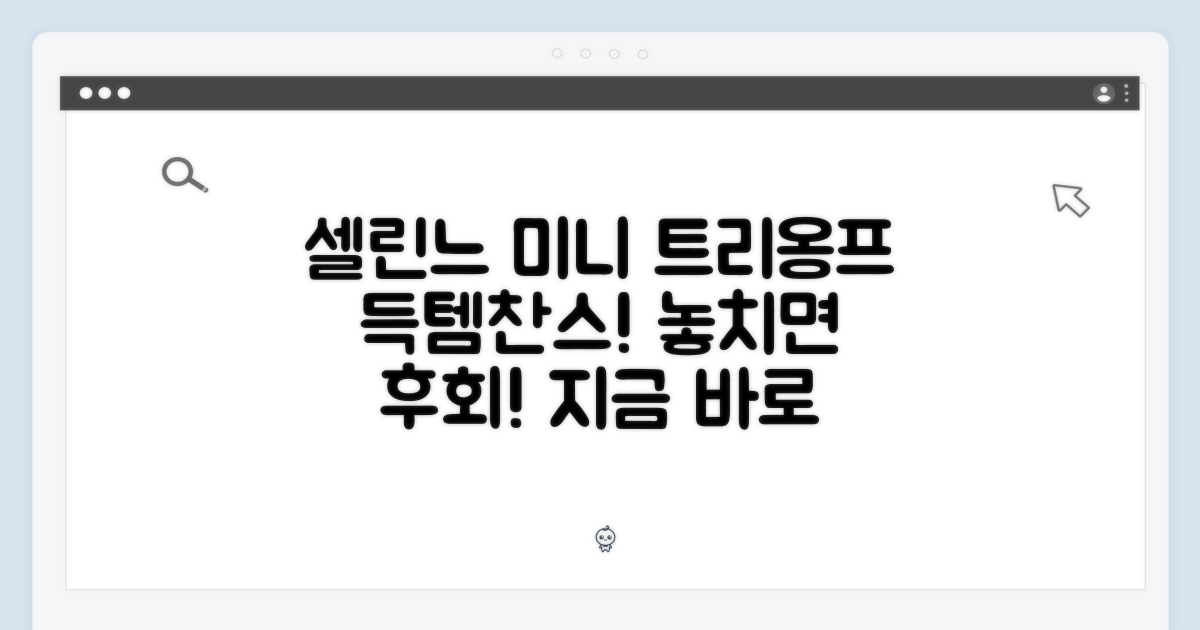 셀린느 미니 트리옹프 득템 기회!