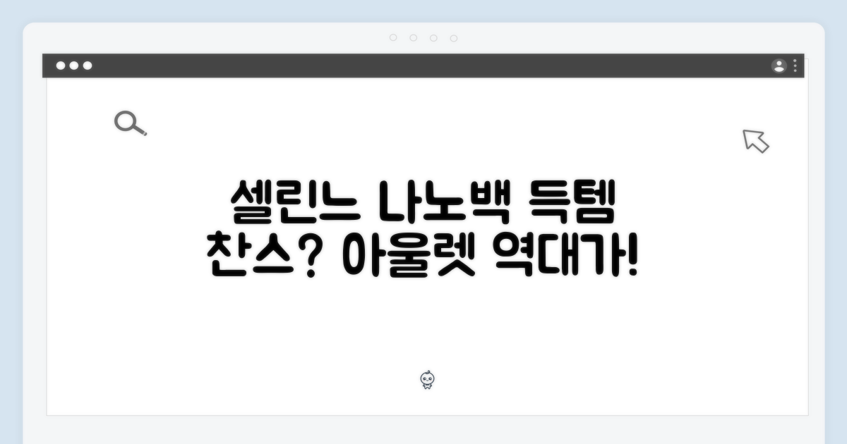 아울렛 셀린느 나노 벨트백, 득템 찬스일까요?