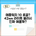 애플워치 10 로즈골드, 42mm 라이트 블러시 어떨까?